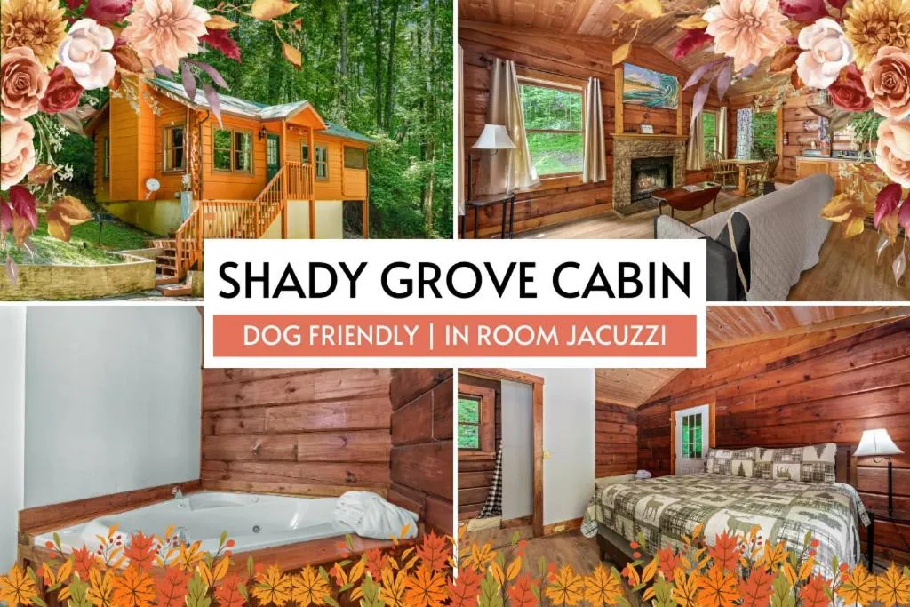 Shady Grove, Pet-Friendly Cabin, In-Room Jacuzzi, King Bed, WiFi