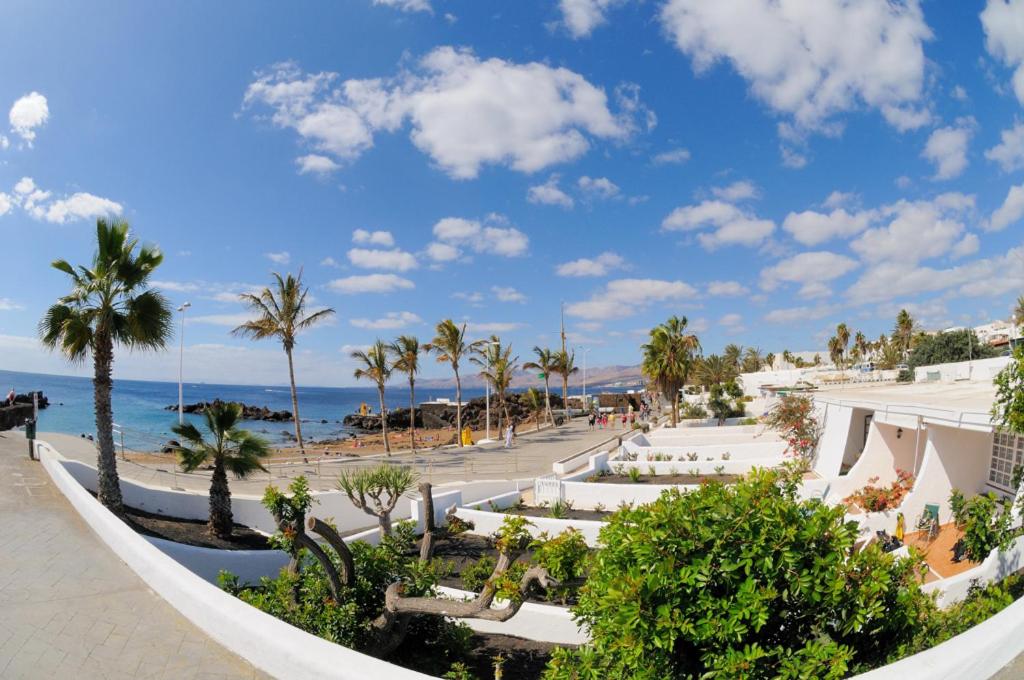 vistas a una playa con palmeras y al océano en Bungalows Villas Blancas, en Puerto del Carmen