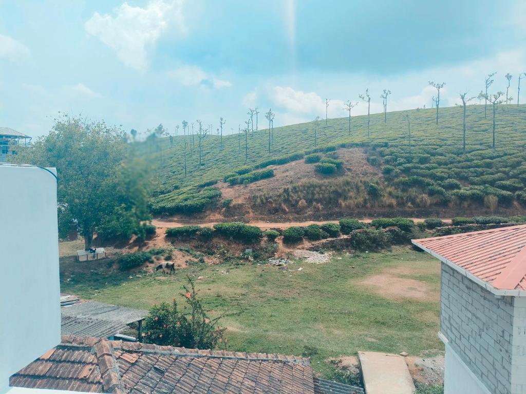 Příroda nedaleko ubytování v soukromí