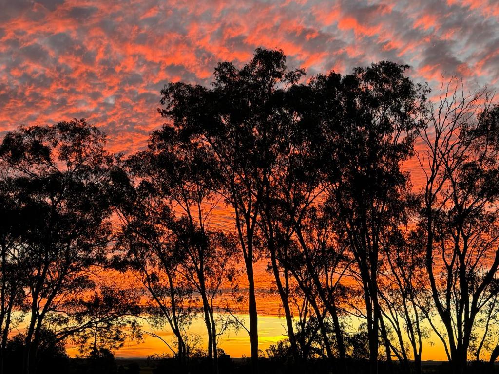 a group of trees with a sunset in the background at Golf Links Sunset Cabin 