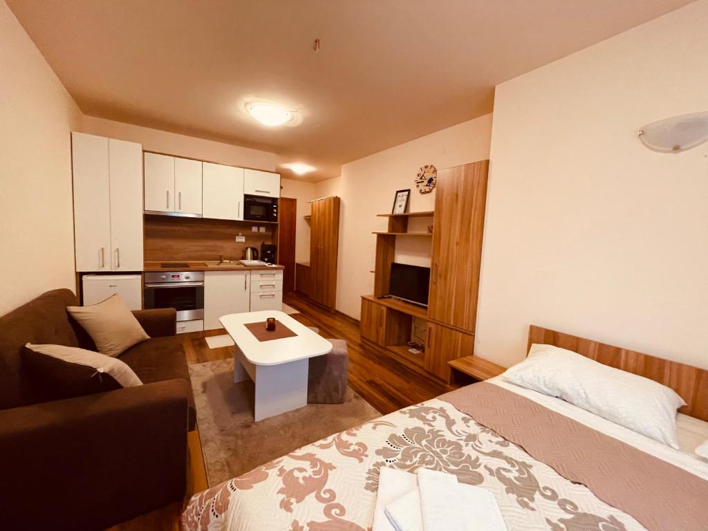 Studio Harmony, Pamporovo