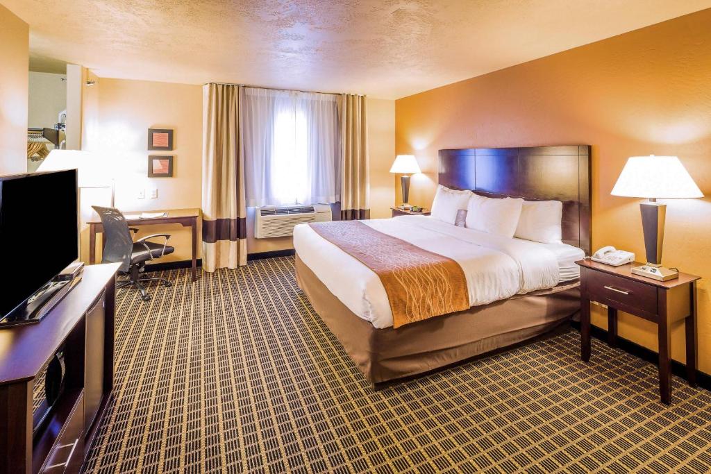 Comfort Inn & Suites Gunnison-Crested Butte - Camera King - Non Fumatori