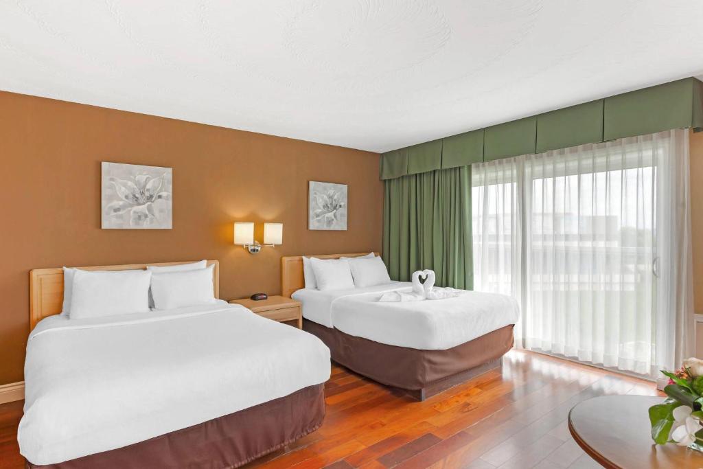 
Queen Room with Two Queen Beds - Non-Smoking
