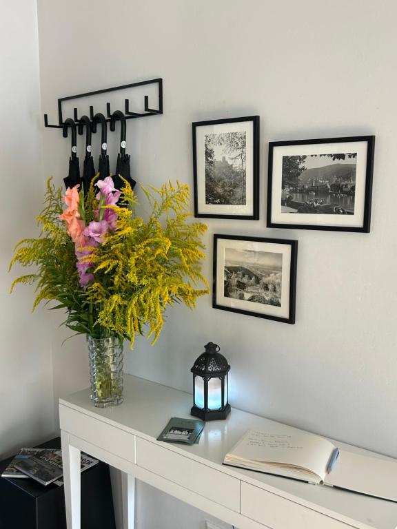 DK Hotel Heidelberg - Resim 10