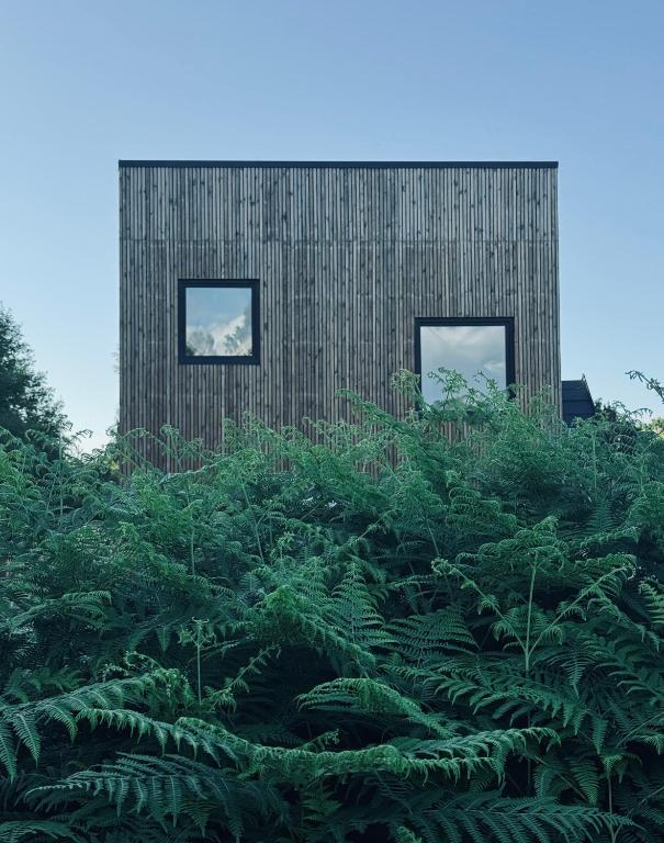 a building with two windows on top of plants at Zen Sasino in Sasino