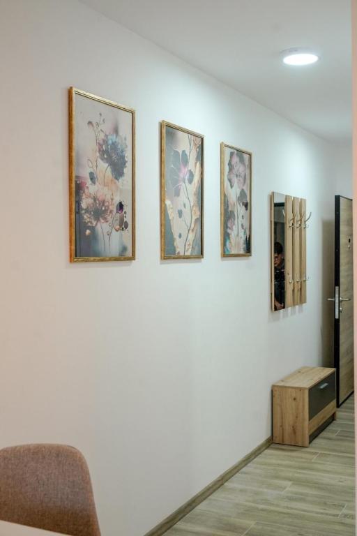 a room with four paintings on a wall at Apartman SAN in Banja Koviljača