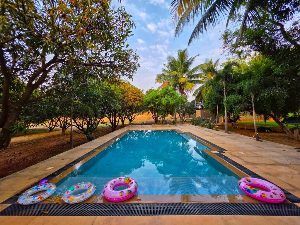 a swimming pool with inflatable donuts around it at Angirasa Luxury Camping in Hyderabad