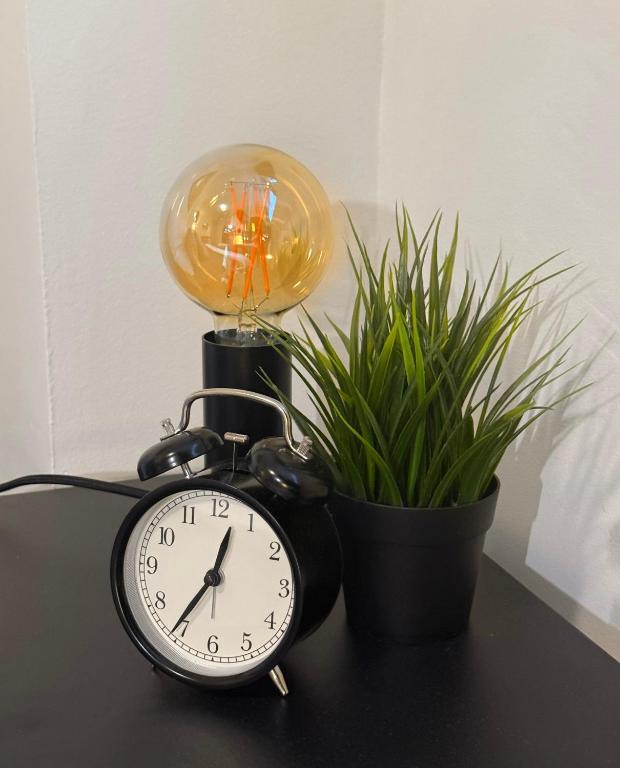 BASELiving Studio 2 - Bahnhof SBB - Resim 18