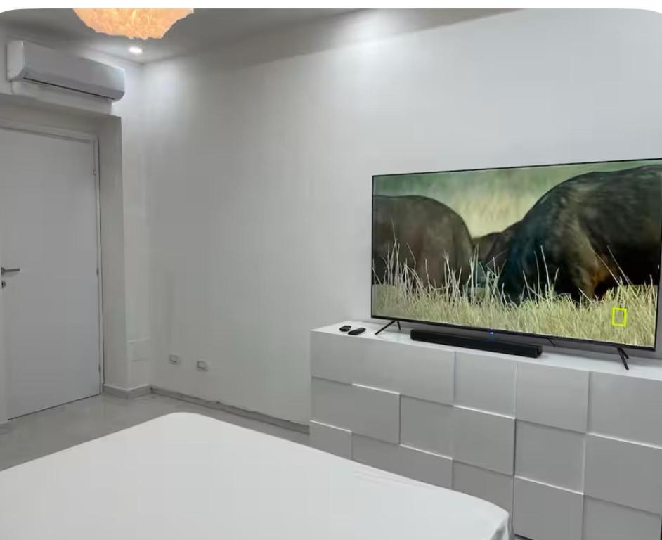 トリノにあるIvaroseの薄型テレビ(壁掛け式)