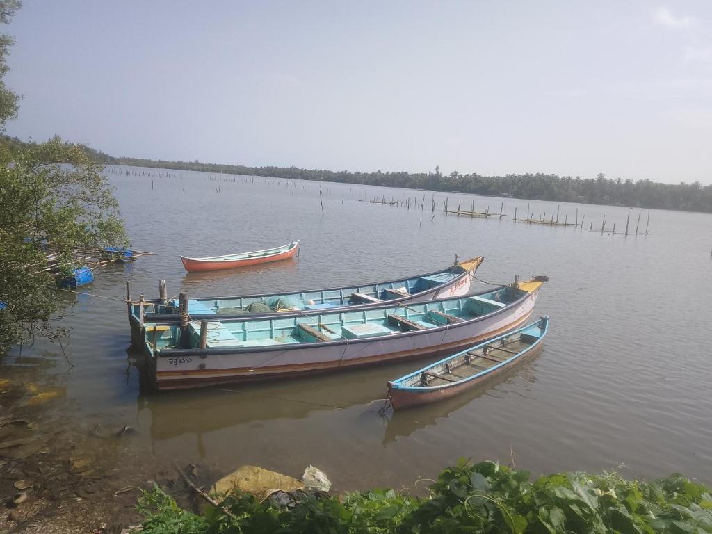 three boats are docked on a body of water at Krishna sadana beach side home stay in Hangārkatta