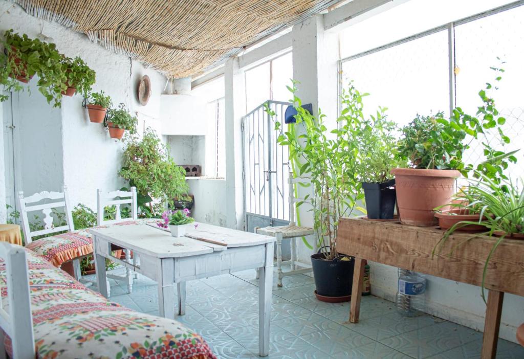 a room with a table and potted plants and windows at Cueva Navarro in Gorafe