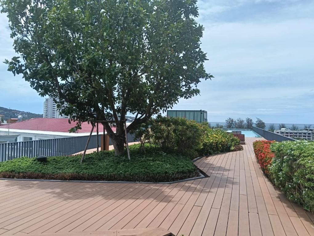 a tree on a brick walkway next to a building at The Deck Patong in Patong Beach