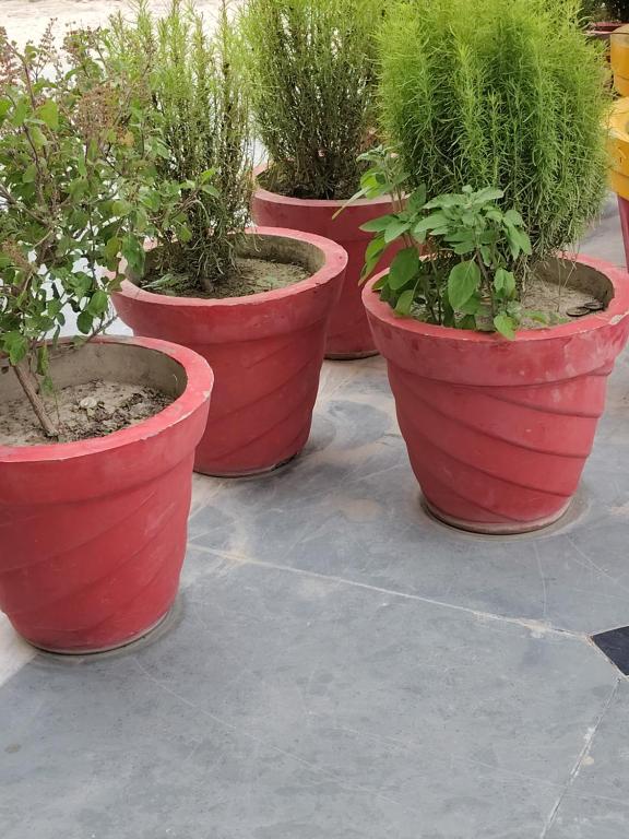 a row of red pots with plants in them at Hotel shree park in Faizābād