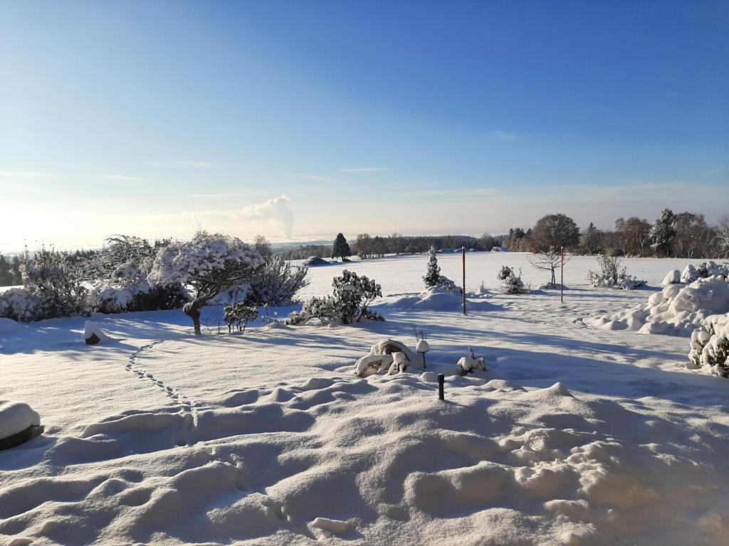 ein schneebedecktes Feld mit Bäumen und Sträuchern in der Unterkunft Holiday Home Gustis Hüsli - Alpensicht & Natur pur by Interhome in Höchenschwand