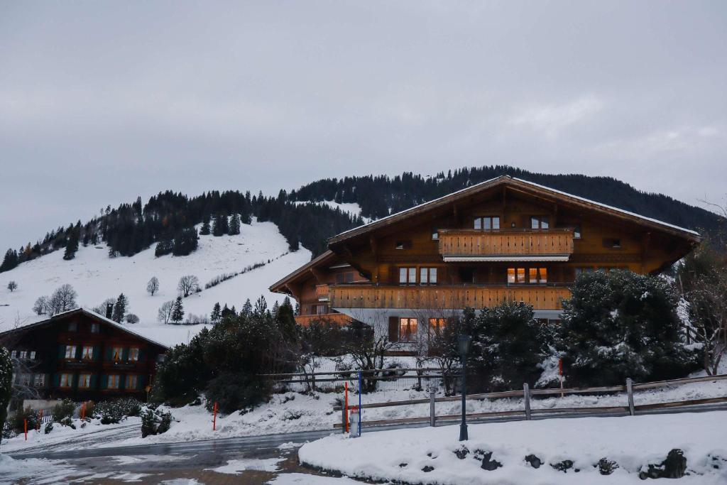 Gstaad Blue Sky Chalet with stunning views