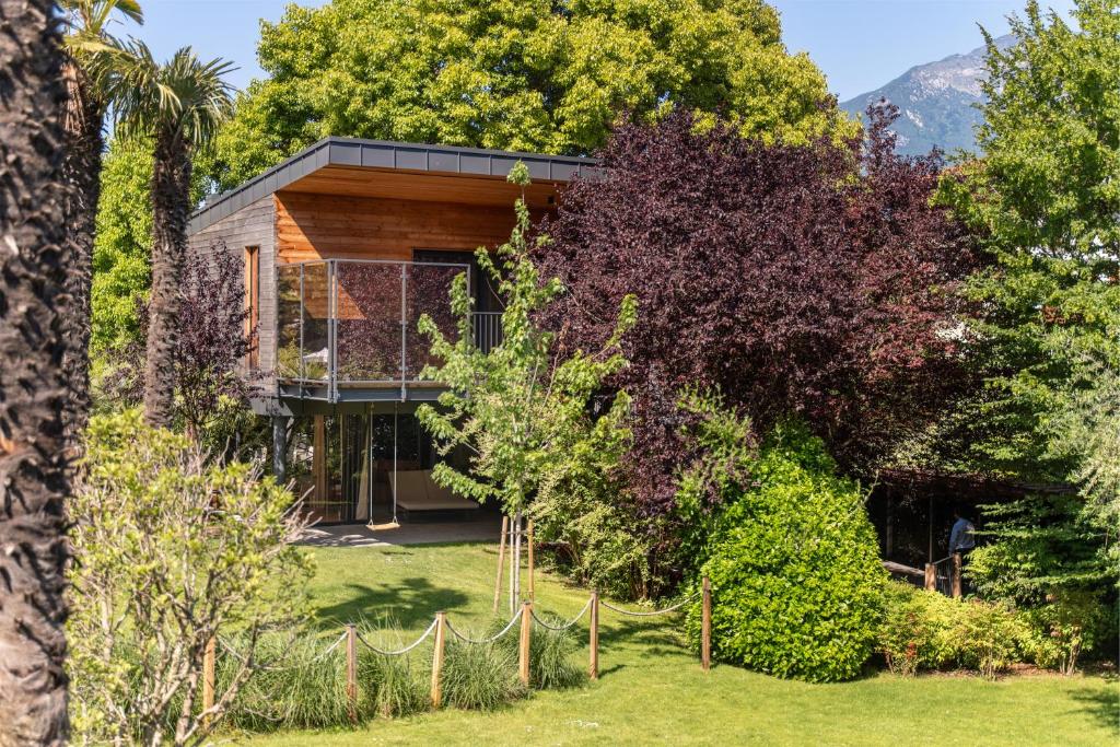 TreeLodgy, The Tree House