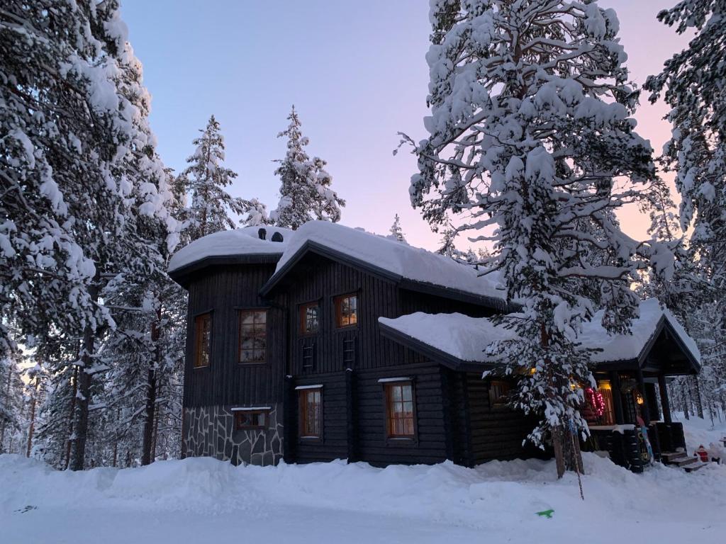 Image result for Luxury Lapland Cabin - Northern Lights,Sauna and Skiing, Kittilä ...