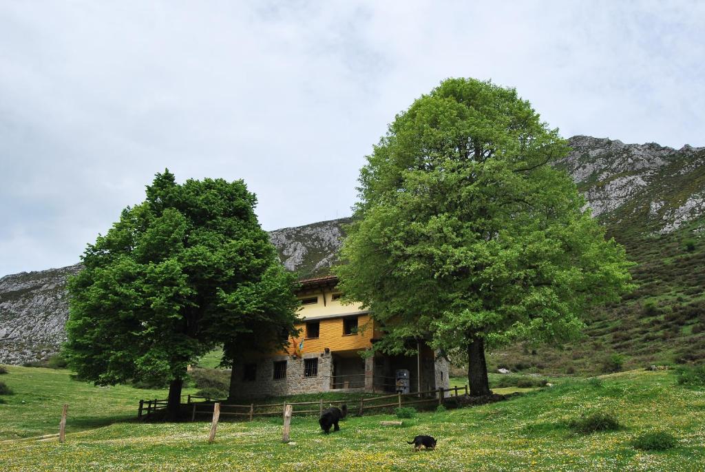 a house on a hill with two trees in a field at Albergue Fayacava in Melendreros