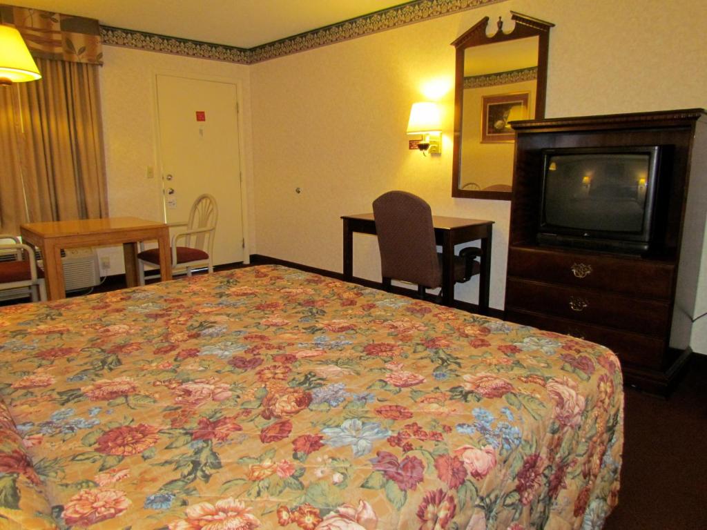 a hotel room with a bed and a television at Eagle Inn Sumter in Sumter