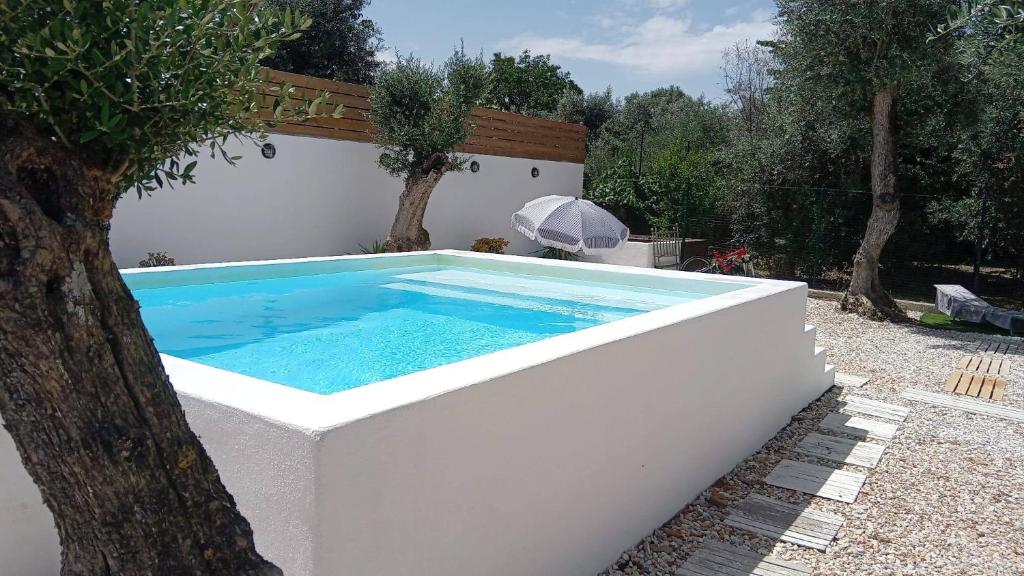 a swimming pool in a backyard with a tree at Cantinho do Baloiço in Vila Viçosa