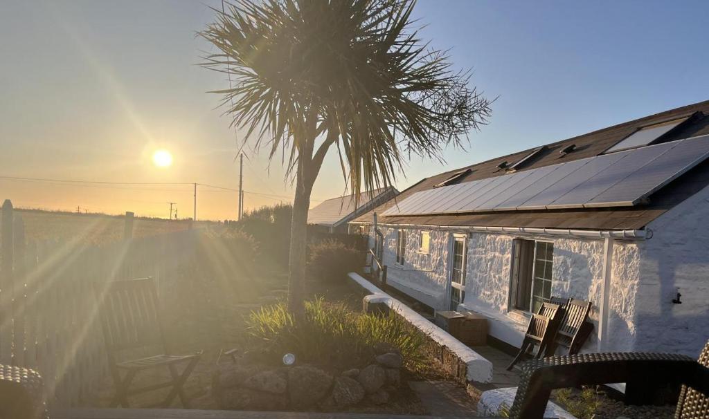 a house with a palm tree and a house with solar panels at Flora Belle Cottage in Sennen