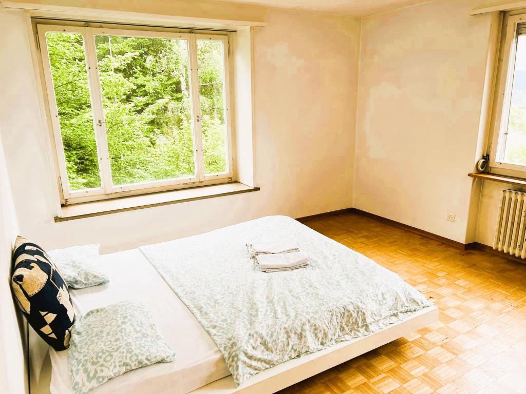 City Center Flats with Balcony Garden View Rigi Self Checkin - Resim 9