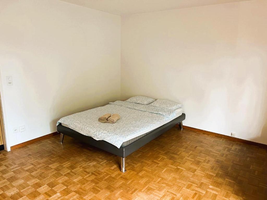 City Center Flats with Balcony Garden View Rigi Self Checkin - Resim 36