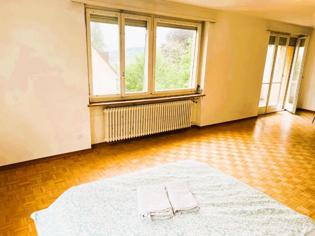 City Center Flats with Balcony Garden View Rigi Self Checkin - Resim 42