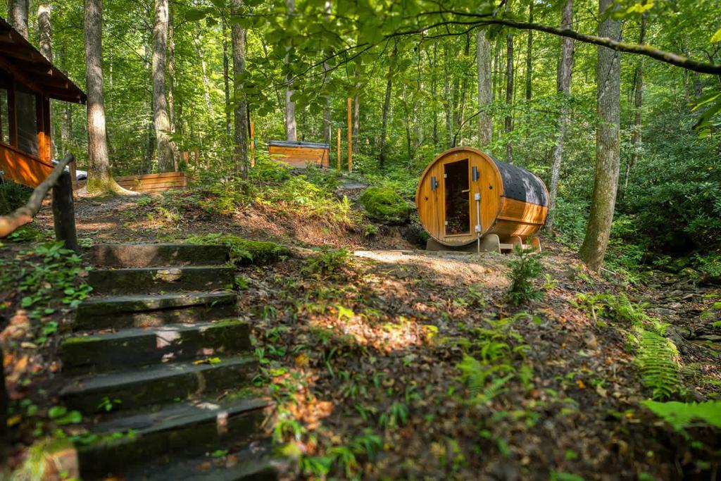 Vườn quanh High Top cabin at Cabin Fever in NC