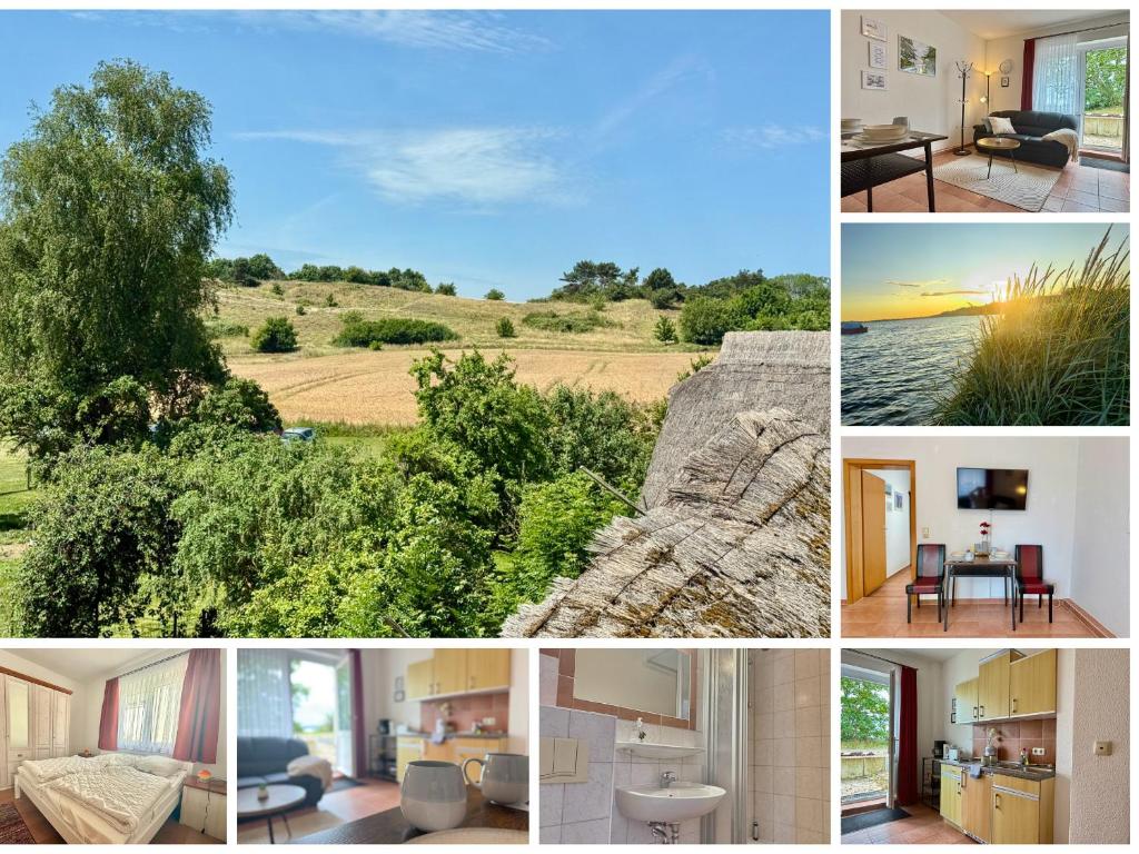 Příroda nedaleko apartmánu