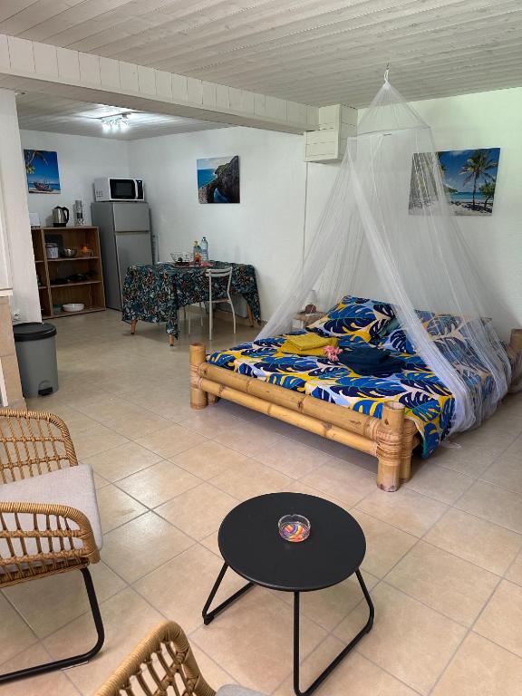 a bedroom with a bed with a mosquito net at Le Pitaya in Sainte-Rose