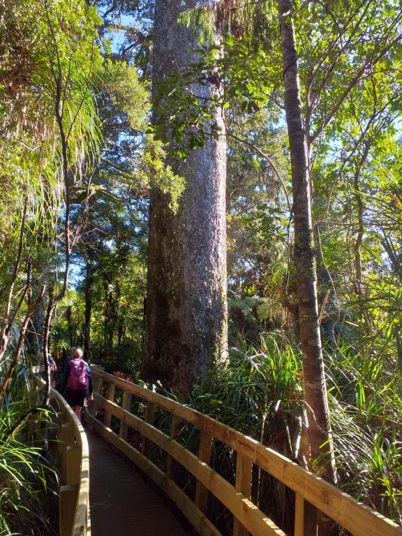 Waitakere Resort & Spa - Resim 7