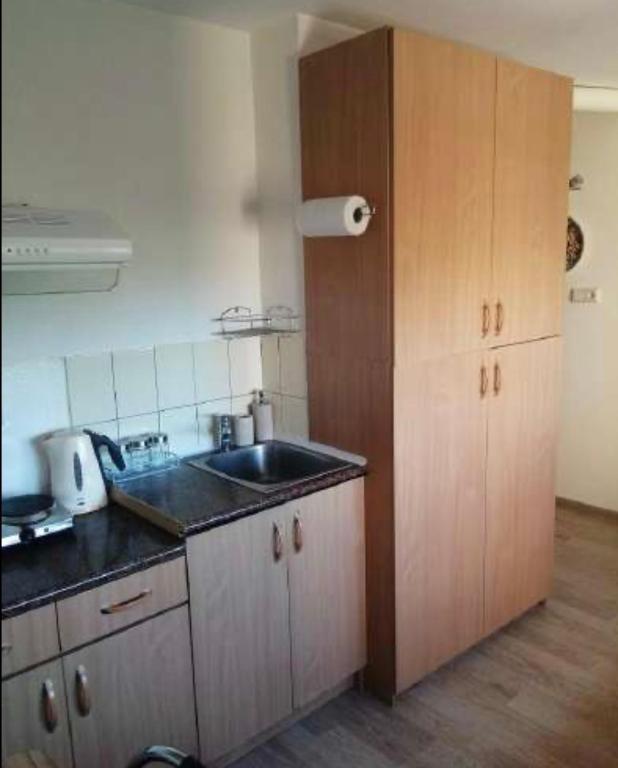 a kitchen with a sink and a counter top at 3 kambariu butas in Klaipėda