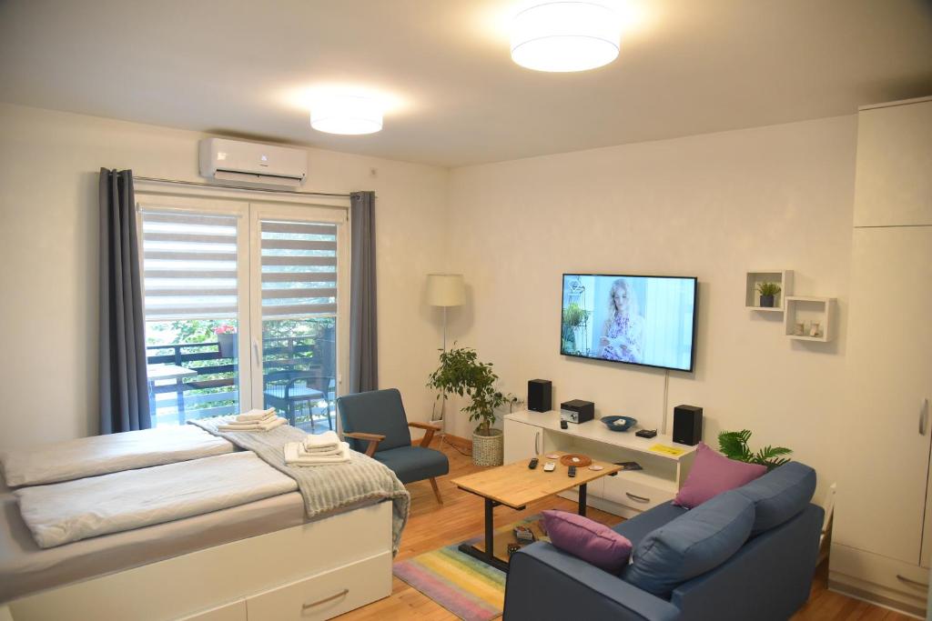 TV i/ili multimedijalni sistem u objektu Dekart Apartment