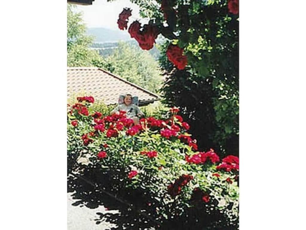 una persona seduta in un giardino di fiori rossi di Holiday apartment with 2 bedrooms a Prackenbach