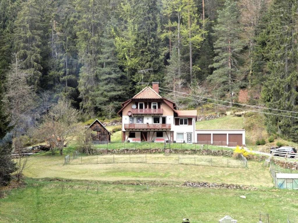 a house sitting on top of a lush green field at Holiday apartment with 3 bedrooms in Enzklösterle