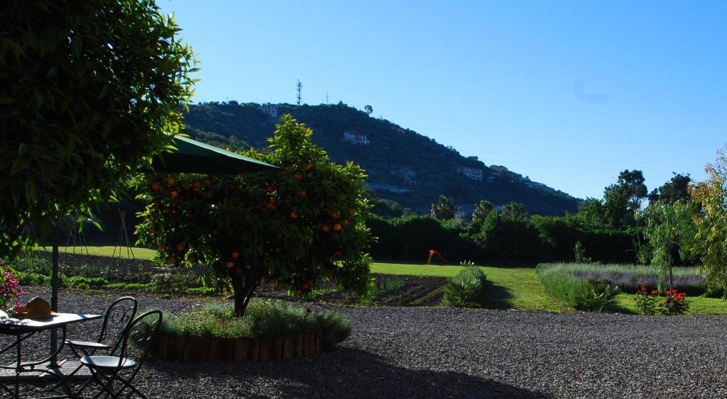 Agriturismo Coppi Rossi