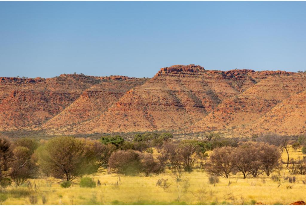 a view of the desert with mountains in the background at Discovery Resorts - Kings Canyon in Kings Canyon
