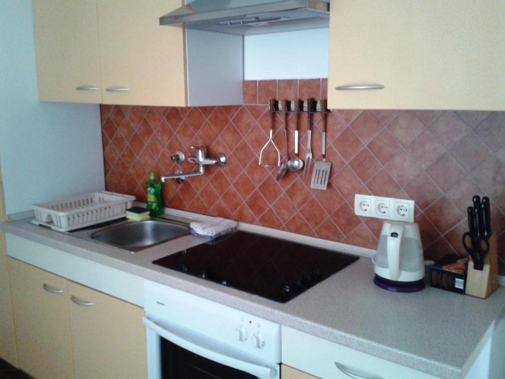 Kuchyňa alebo kuchynka v ubytovaní Apartments Dida moj