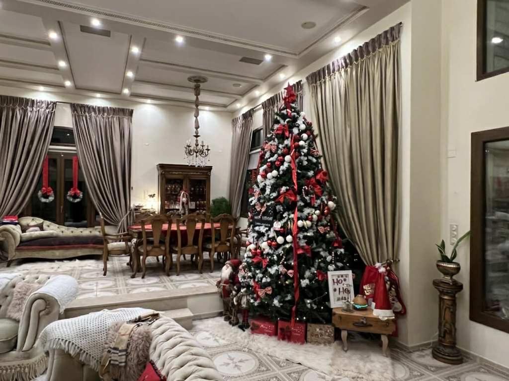 un soggiorno con un albero di Natale di Eva's Luxury Villa a Kritharia