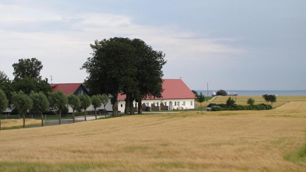 Příroda nedaleko bed and breakfast