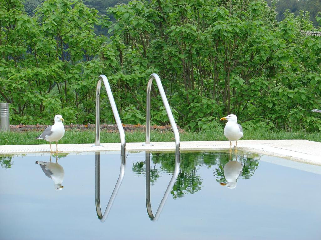 Fotografie z fotogalerie ubytování Hotel Convento dos Capuchos v destinaci Monção