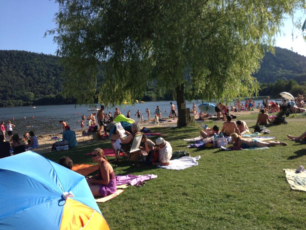 eine Gruppe von Menschen, die auf dem Gras am Strand sitzen in der Unterkunft La Vue sur le Paradis in Chambon-sur-Lac