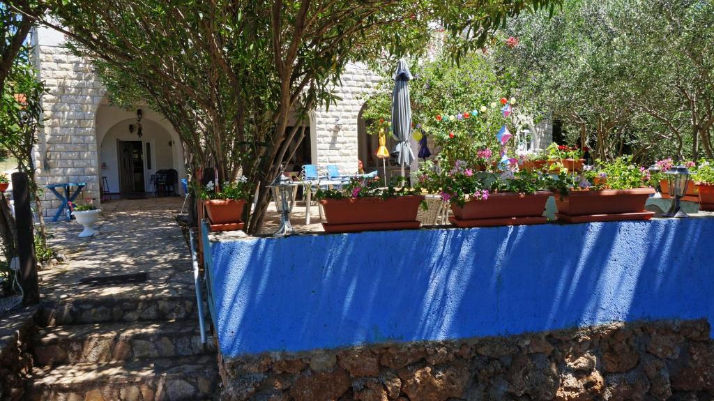 Zahrada ubytování Guesthouse Garni