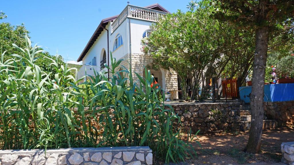 Zahrada ubytování Guesthouse Garni
