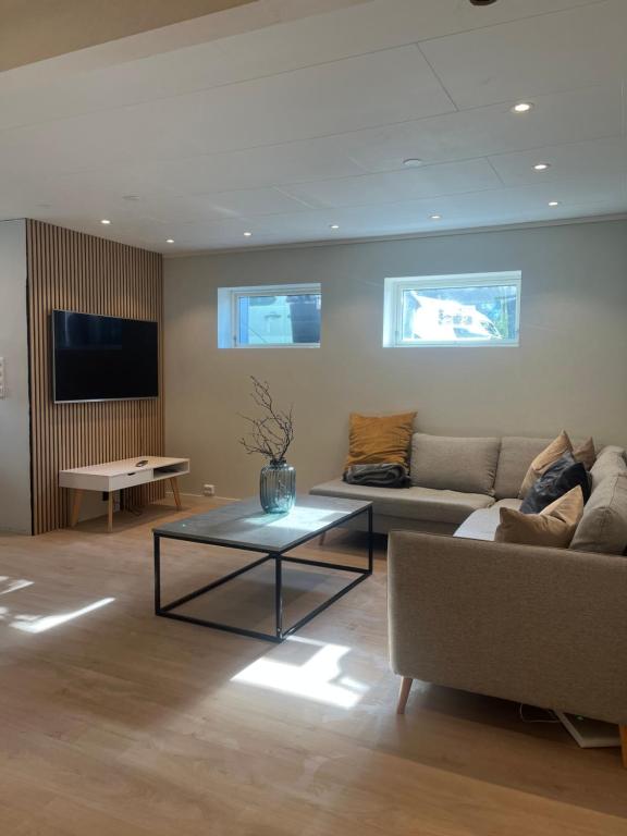 Μια τηλεόραση ή/και κέντρο ψυχαγωγίας στο Tromsø City Apartment