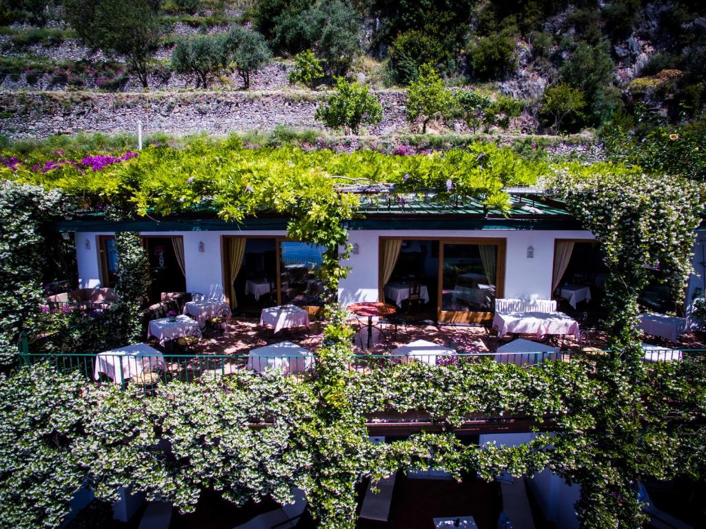 Zahrada ubytování Hotel Pellegrino