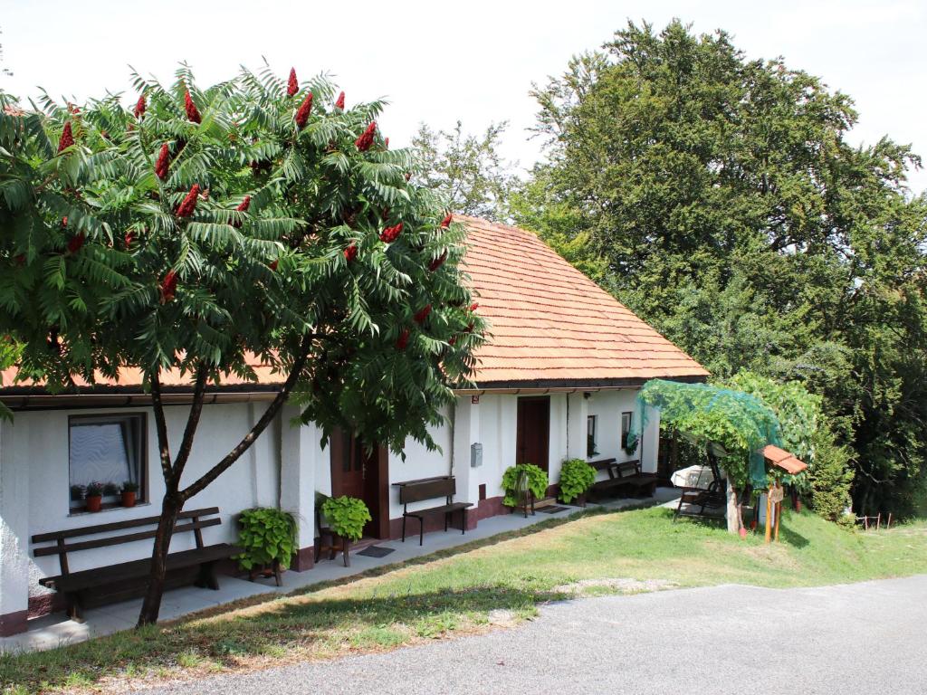 Zahrada ubytování Vineyard cottage Ranč pri Hanzeku