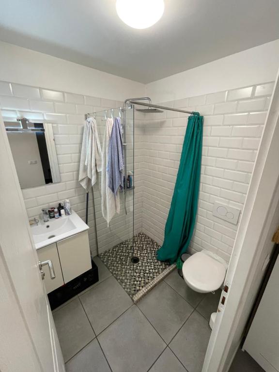a bathroom with a shower with a toilet and a sink at Room in city Nice in Nice