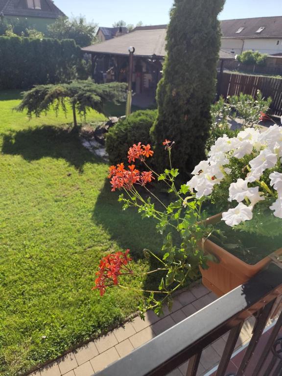 a bunch of flowers in a yard with a bench at Emi's House in Sângeorgiu de Mureș